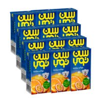سن توب فواكه مشكلة 125 مل عدد 12
