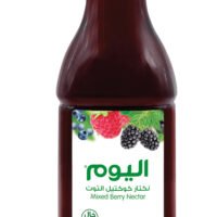 اليوم عصير توت بري مشكل طازج 1 لتر