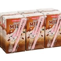 حليب مطعم شوكولاتة 125mL *6