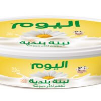 اليوم لبنة بلدية حامضة 200 غ من فئة اللبن واللبنة