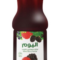 اليوم عصير توت بري مشكل طازج 250 مل