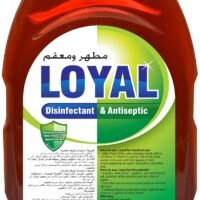 لويال مطهر ومعقم، 750مل